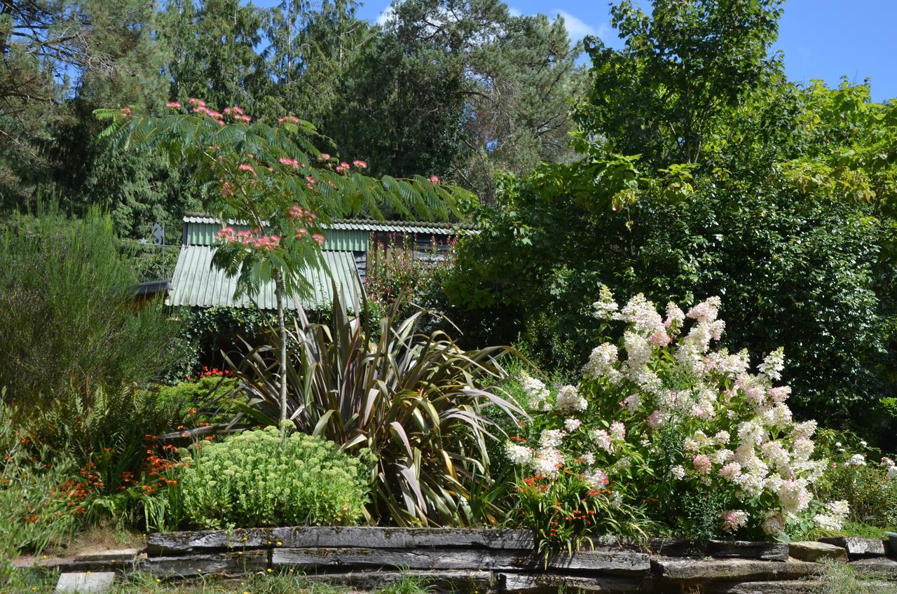 Sérent L'Hippocampe Bed & Breakfast エクステリア 写真