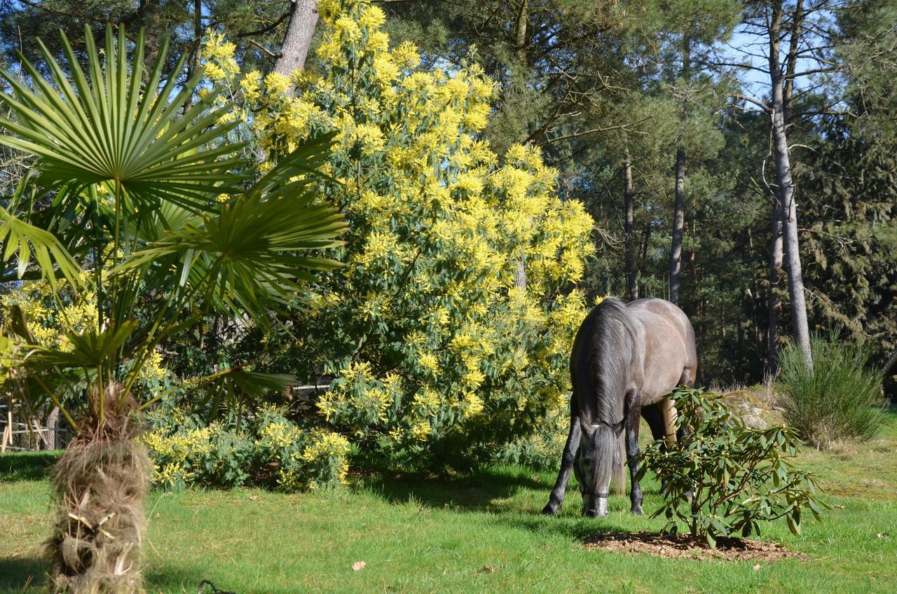 Sérent L'Hippocampe Bed & Breakfast エクステリア 写真