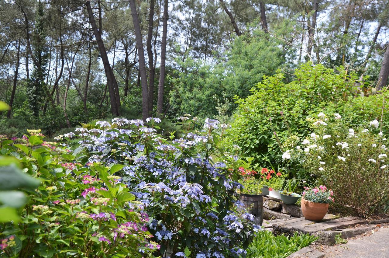 Sérent L'Hippocampe Bed & Breakfast エクステリア 写真